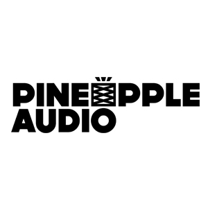 Pineapple Audio - Top Hospitality Procurement Services Pineapple Audio