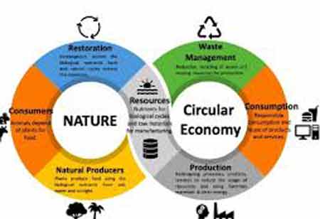 Circular Capital Strategies in Hotel Mattress Recycling Circular Capital Strategies in Hotel Mattress Recycling